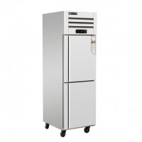 冰厨冷柜商用B款立式双门冰柜