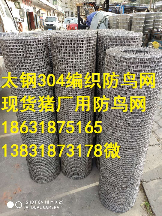 防鸟网现货