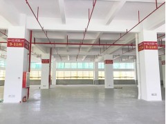 高速口旁红本现楼厂房出售，6米层高，1.2T承重，世龙集创园图4