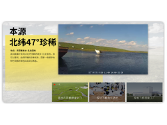 新维讯文旅慢直播系统搭建图2