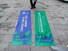 灯杆旗广告图3