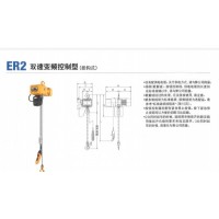 KITO   ER2双速变频控制型(挂钩式)