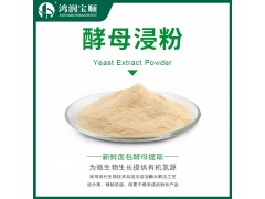 酵母浸粉 食用菌培养基发酵原料丨酵母提取抽提物 鸿润宝顺厂家图2
