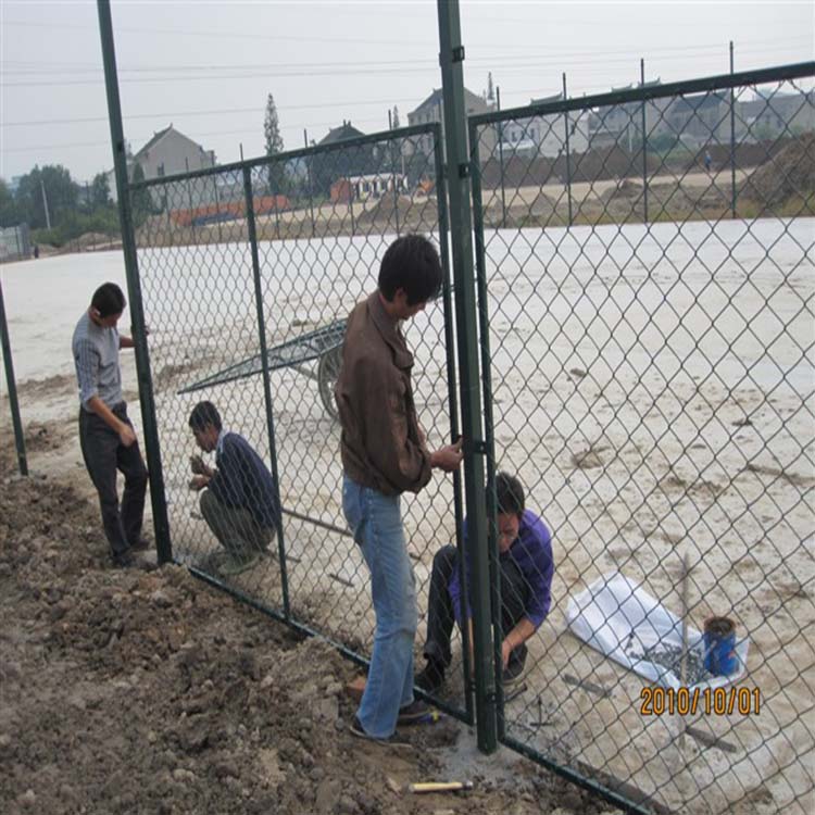 球场护栏 (17)