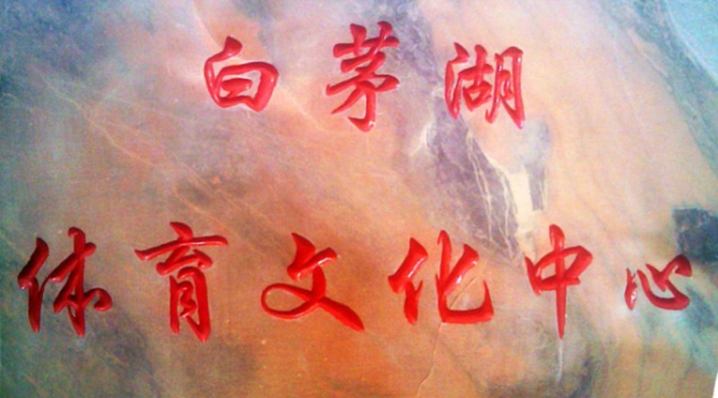 湖北刻字刻花刻画 草萍风景石价格3