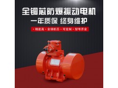 YBZH112-2.5-2防爆振动电机图2