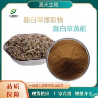 供应翻白草提取物 10：1 翻白草黄酮 多种规格