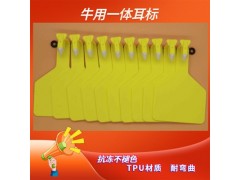 耳标加大加厚牛耳标图2