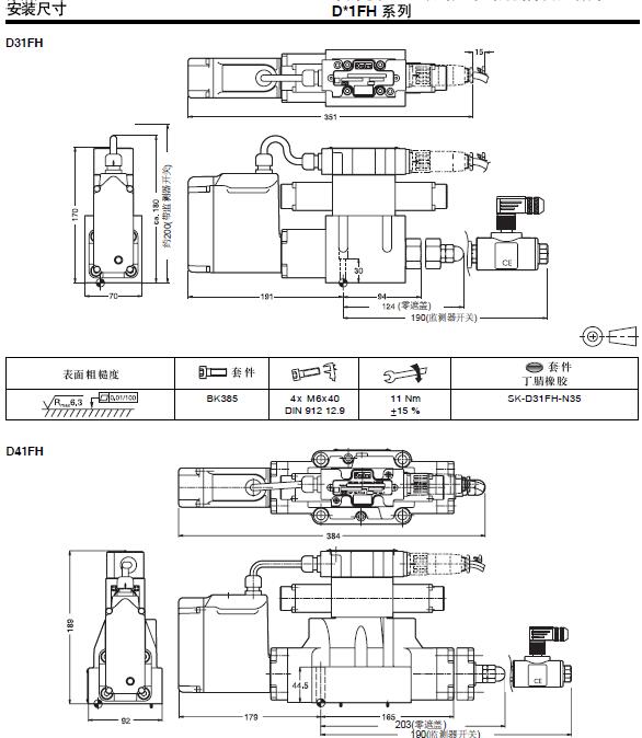 D41FH-01