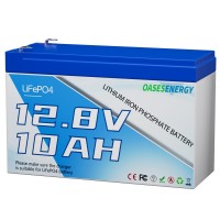 12V10Ah太阳能光伏发电驱蚊灯大容量储能磷酸铁锂电池