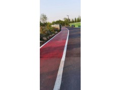 南京道路交通标线划线公交专用道南京达尊交通工程公司图5
