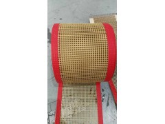 美澳特氟龙PTFE耐高温网格带图4