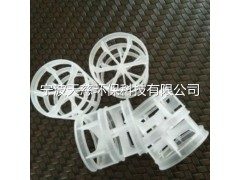 DN50 PVC 鲍尔环图2