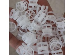 DN50 PVC 鲍尔环图9