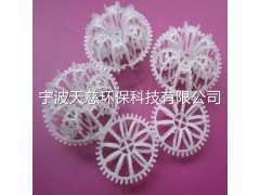 不锈钢泰勒花环填料图2