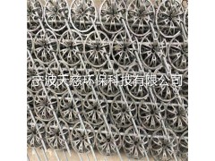 CPVC 无边花环图5