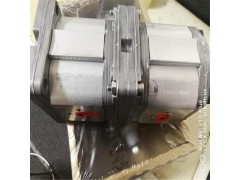 武汉马祖奇内合齿轮泵ALP2A-D-25-FG图4
