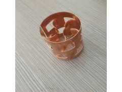 DN15不锈钢鲍尔环图6