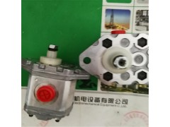 马祖奇泵GP3F-0427R01F/GP1R-0041RF图4