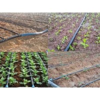 河北果肉多农业科技有限公司-滴灌配件任丘生产厂家