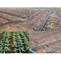 温室滴灌带生产厂家、大棚作物种植滴灌带生产厂家