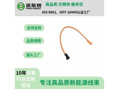 储能高压动力线束 储能电池连接器线束图2