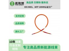 矿卡高压线束（电池高压箱-换电回路）重卡高压线束图2