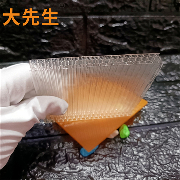 透明蜂窝阳光板2_副本