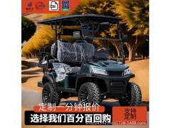 盛达飞新款电动观光车景区酒店接待楼盘看房车电动高尔夫球车图2