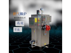 蒸汽发生器 家用电蒸汽发生器的优点有哪些？图2
