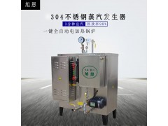 家用小型电蒸汽发生器节能高效，蒸汽十足图2