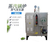家用小型电蒸汽发生器节能高效，蒸汽十足图4
