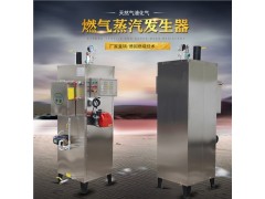 24KW家用小型电蒸汽发生器,专为家用设计图2