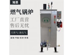 24KW家用小型电蒸汽发生器,专为家用设计图3