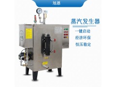 一款非常实用的家用电器——100KG燃油蒸气发生器图2
