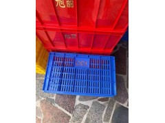 江门乔丰塑料周转箱 鹤山开平全新料塑料食品箱图4
