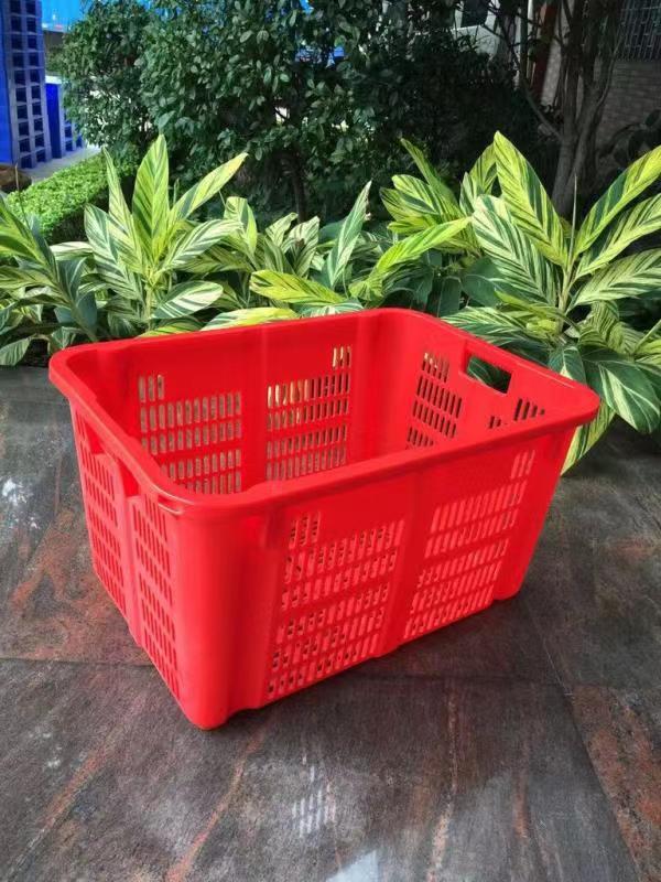 20号萝1
