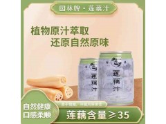 园林牌莲藕汁饮品植物萃取还原自然原味解暑休闲饮料图2
