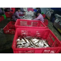 东莞乔丰塑料胶框 东莞乔丰塑料胶桶 塑料箩筐