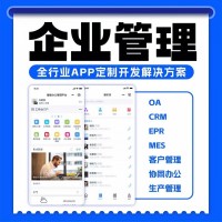 企业管理系统软件定制oa办公crm客户管理系统mes生产管理