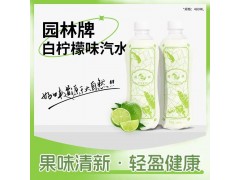 园林牌柠檬味汽水苏州口味汽水童年饮料图2