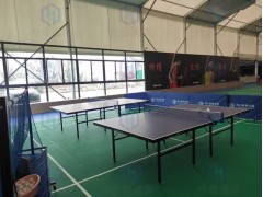 网球馆篷房生产厂家 定做培训班球馆大棚 抗风防雨保温图2