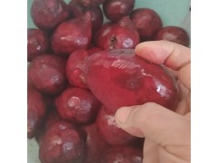 全自动304不锈钢甜菜根去皮机图5