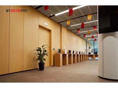 成都斯蒂恩办公室钢制防火隔断图3