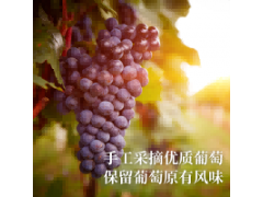 温碧霞代言IRENENA红酒品牌贺兰山酒庄干红葡萄酒图3