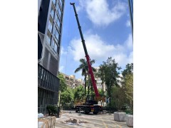 深圳南山附近 高空车登高车吊篮车 天租周租月租价格优惠图3