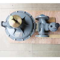 RTZ-50/0.4FVB液化气减压阀-EMERSON艾默生