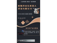 帕斯科码垛机保养策略图3