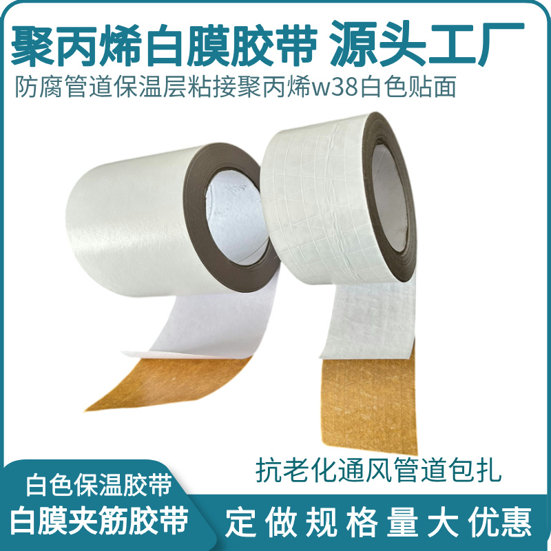 白膜13