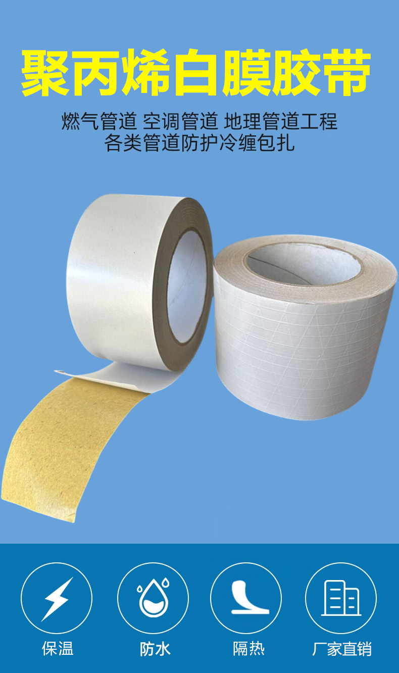 白膜2